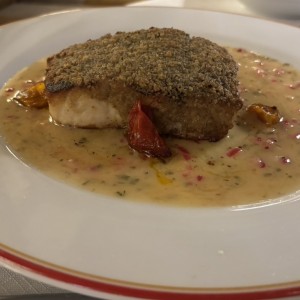 Pesca del Dia Pargo 