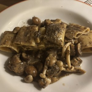 Paccheri con funghi e tartufo