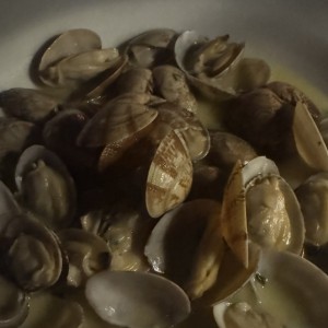 Almejas