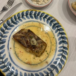 Robalo 
