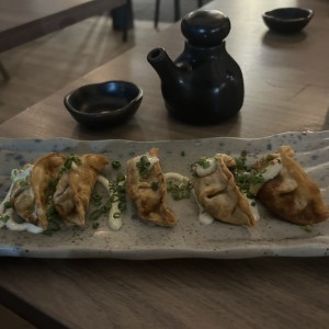Gyosas de pollo y vegetales