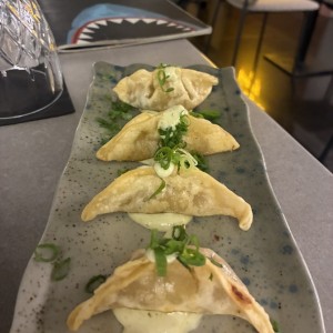Gyosas de cerdo y vegetales 