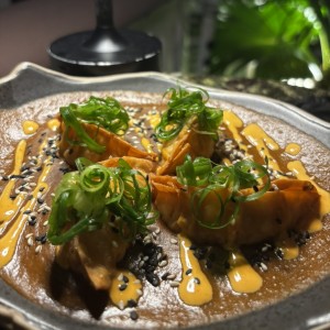 Mexican Gyozas