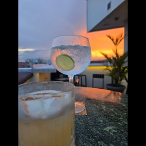 whisky sour y gin tonic