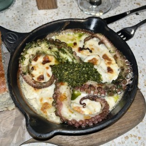 Pulpo