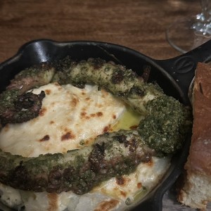 Pulpo