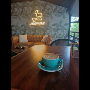 Capuchino