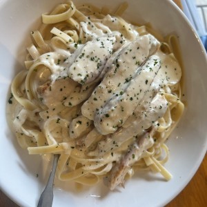 Chicken alfredo
