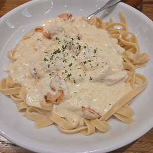 shrimp alfredo