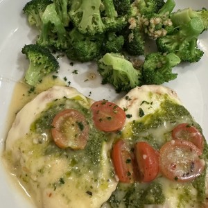 Pollo