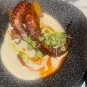 Octopus
