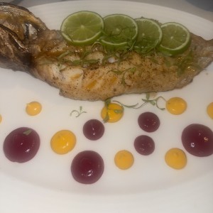Corvina