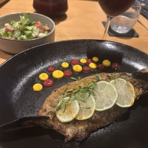 Corvina entera
