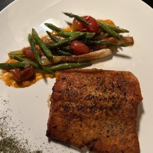 Salmon
