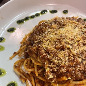 Bolognesa