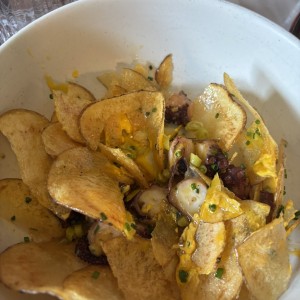 Pulpo