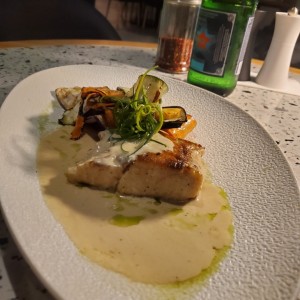 Fish of the day - Corvina