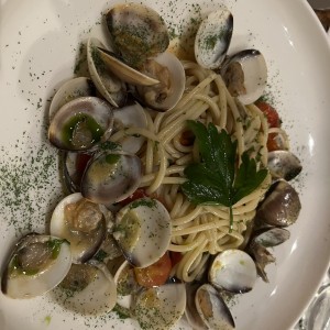 I PRIMI - Vongolina