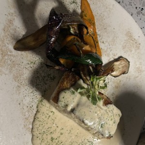 Corvina 