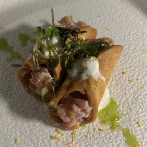 Canoli de tuna