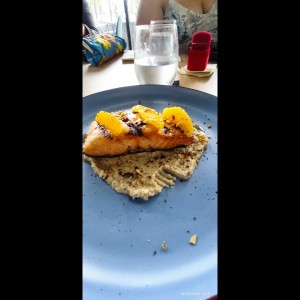 Salmon 