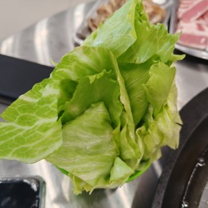 Lechuga