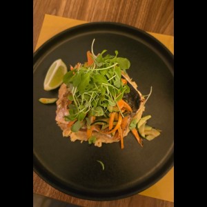 Salmon 