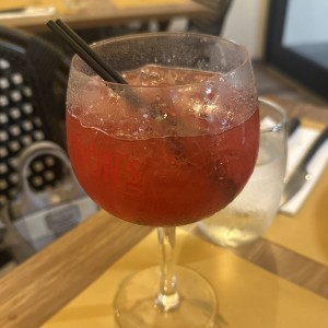 Gin frutos rojos