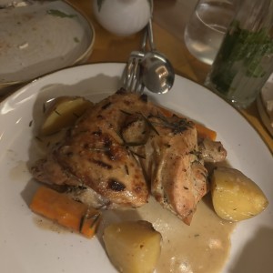 Pollo