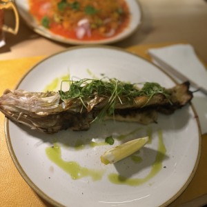 Robalo