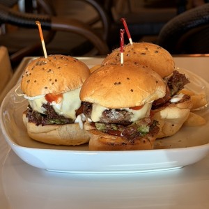 Sampler de hamburguesas