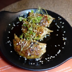 Dumplings de Ribeye
