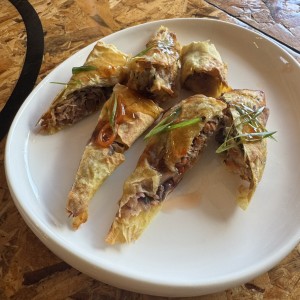 Spring rolls de brisket
