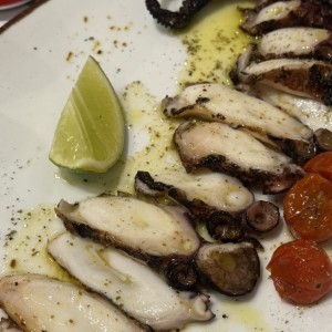 Pulpo