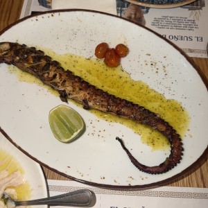Pulpo