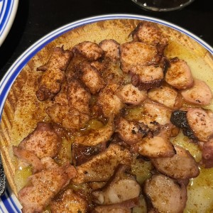 Pulpo
