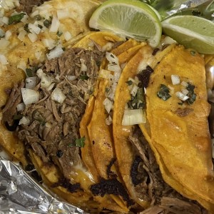 Tacos birria