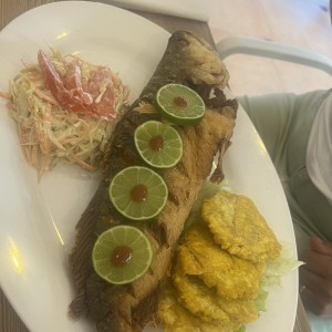 Corvina frita entera con patacones