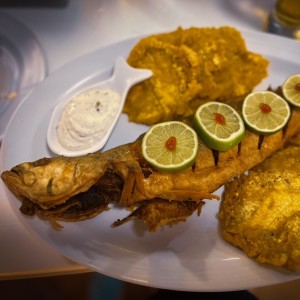 Corvina Frita