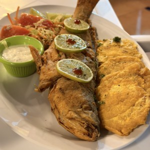Corvina