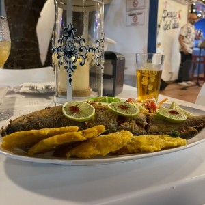 Corvina