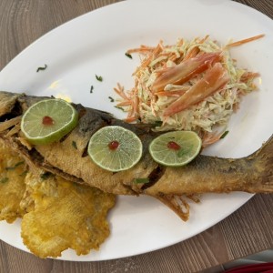 Pescado Entero