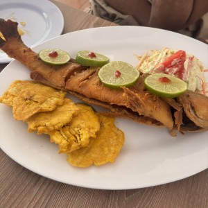 Corvina Frita