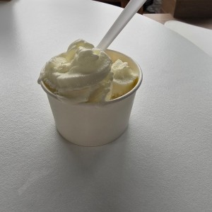 Helado plain para mascota