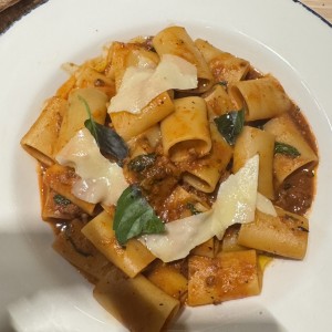 PASTA - PACCHERI ALLA BOLOGNESA