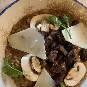 RISOTTO - FUNGHI