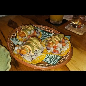 Plato 3