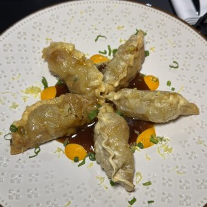 Dumplings de res
