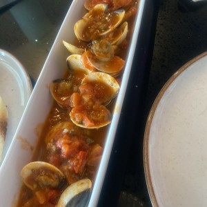 Almejas 