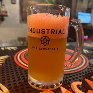 Cerveza artesanal
